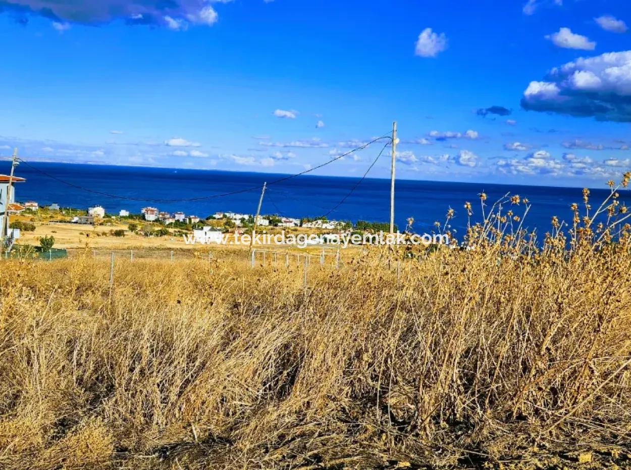 6 Apartment Opportunity Plot With Wonderful Sea View For Urgent Sale