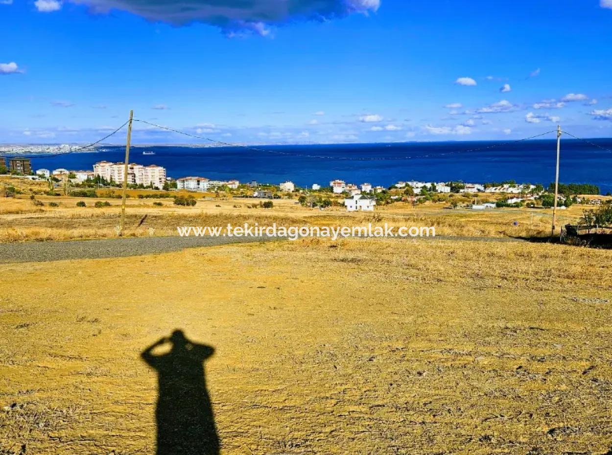 6 Apartment Opportunity Plot With Wonderful Sea View For Urgent Sale