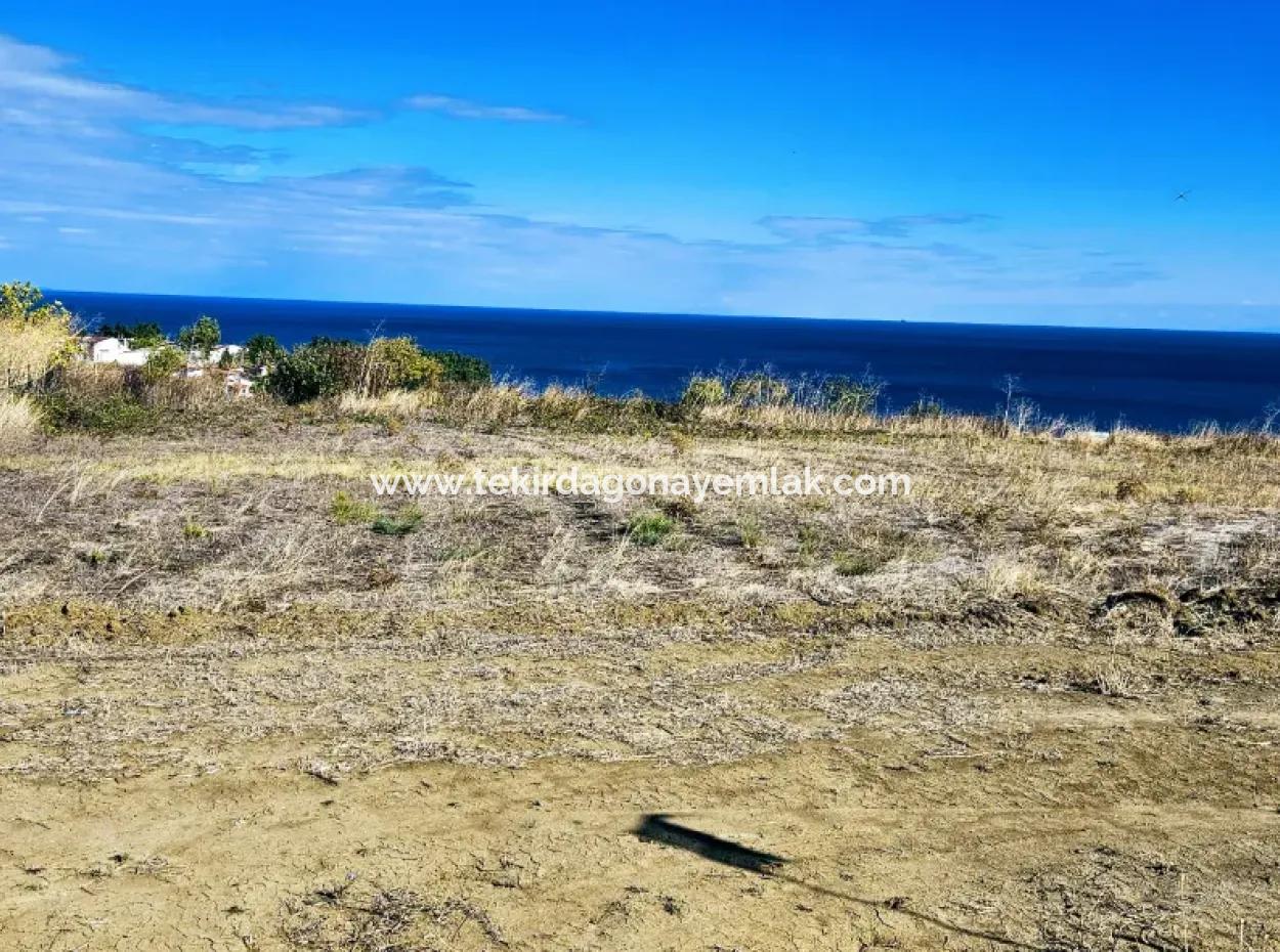 Opportunity Land Suitable For Building A Detached House In A Wonderful Location In Tekirdag Barbarosta, Close To The Sea