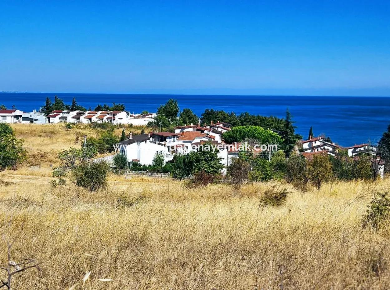 Opportunity Land Suitable For Building A Detached House In A Wonderful Location In Tekirdag Barbarosta, Close To The Sea