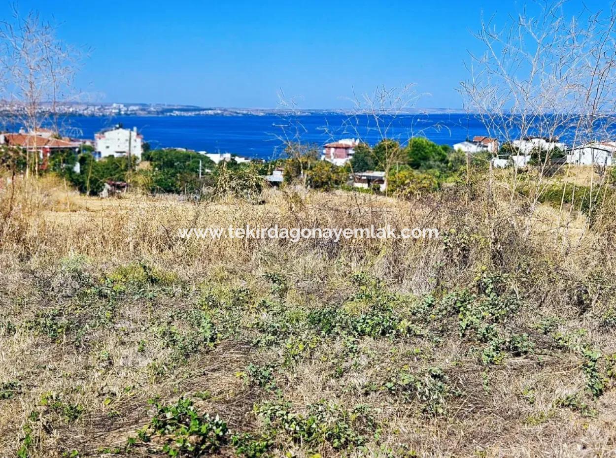 Opportunity Land Suitable For Building A Detached House In A Wonderful Location In Tekirdag Barbarosta, Close To The Sea