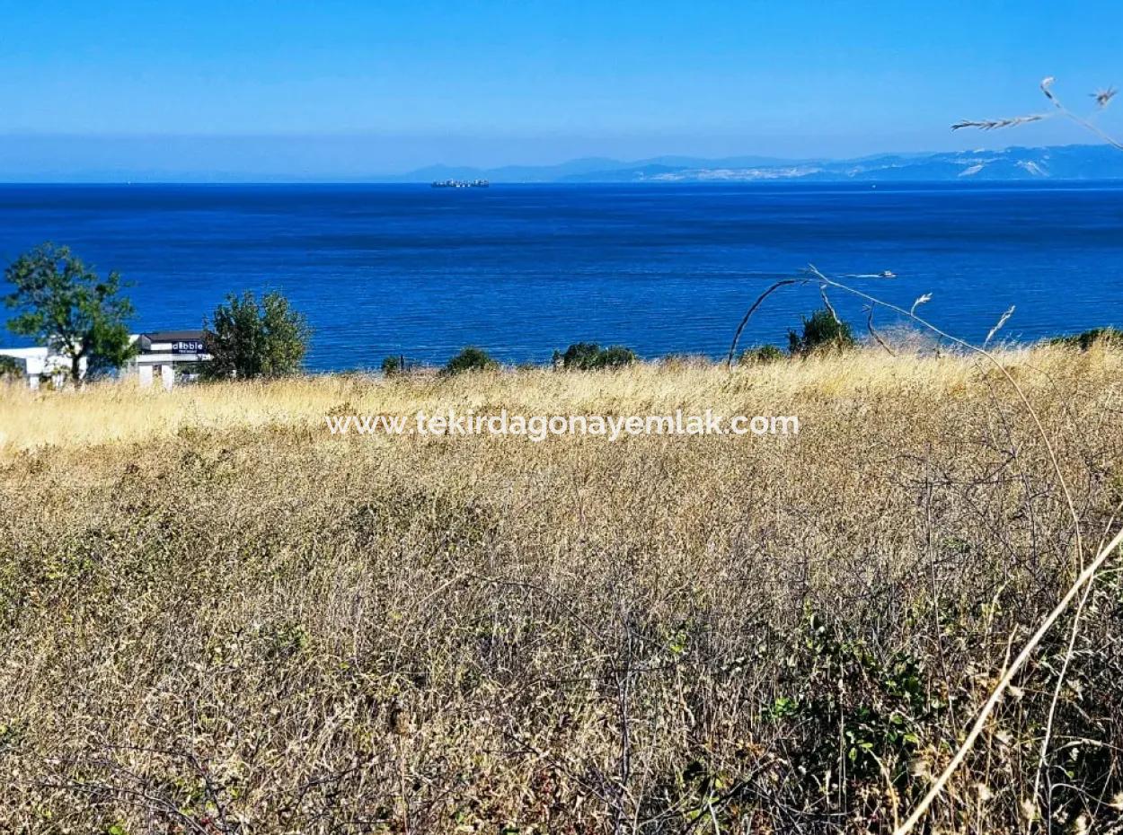 Opportunity Land Suitable For Building A Detached House In A Wonderful Location In Tekirdag Barbarosta, Close To The Sea