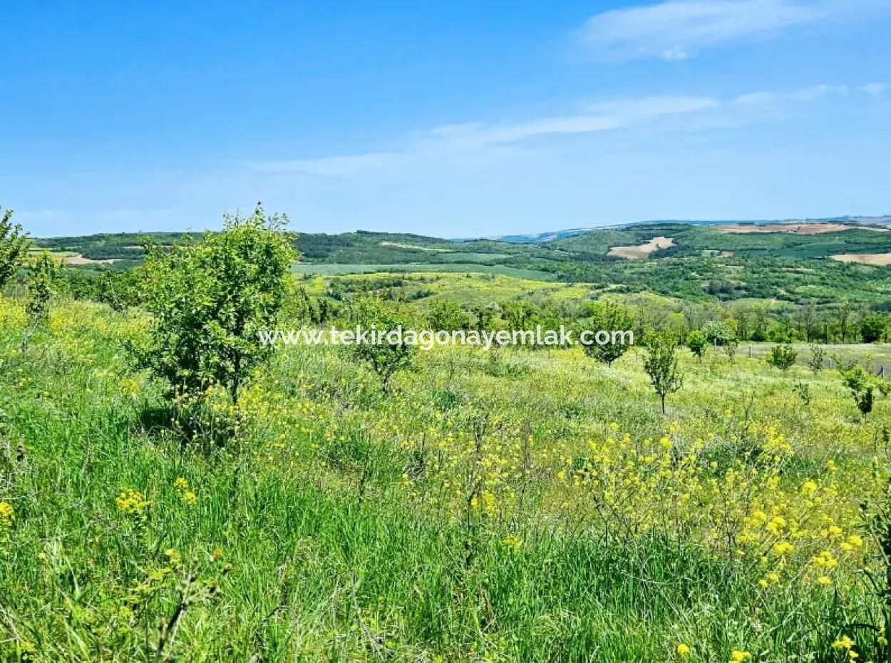 A Great Opportunity To Build Your Farm In Your Family For Urgent Sale 2,600 Acres Of Pasture Front