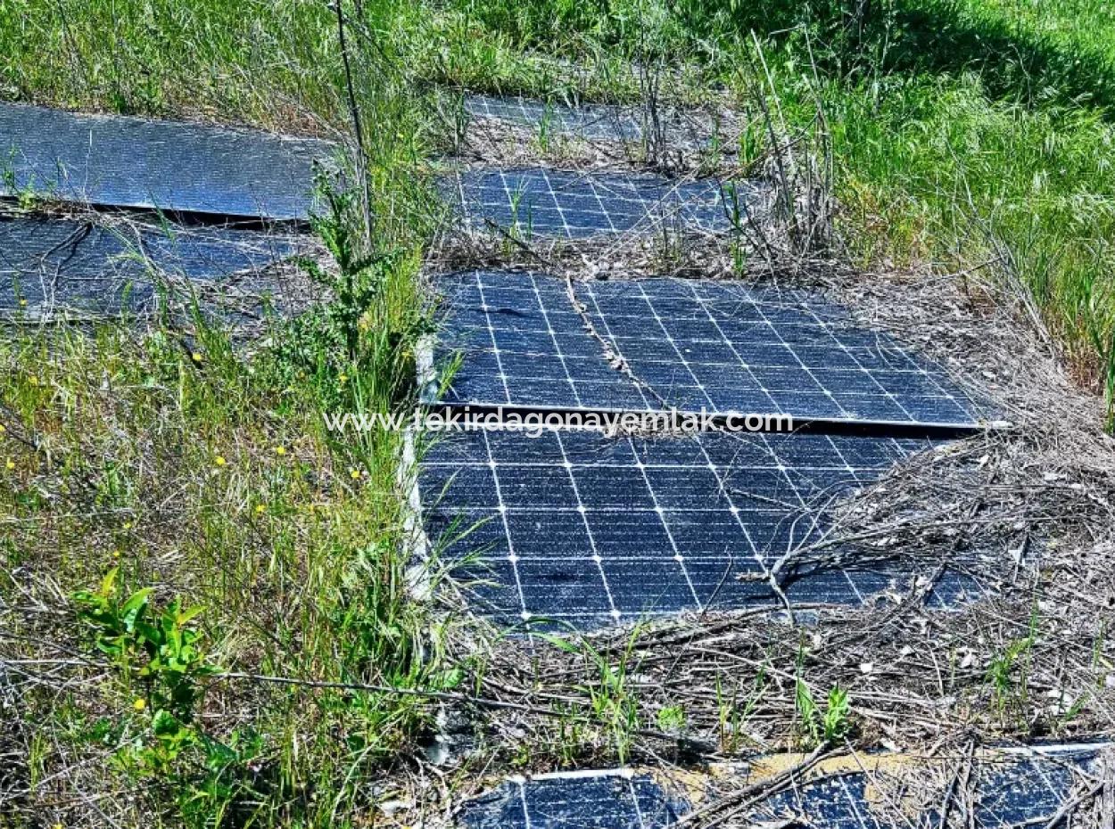 A Great Opportunity To Build Your Farm In Your Family For Urgent Sale 2,600 Acres Of Pasture Front