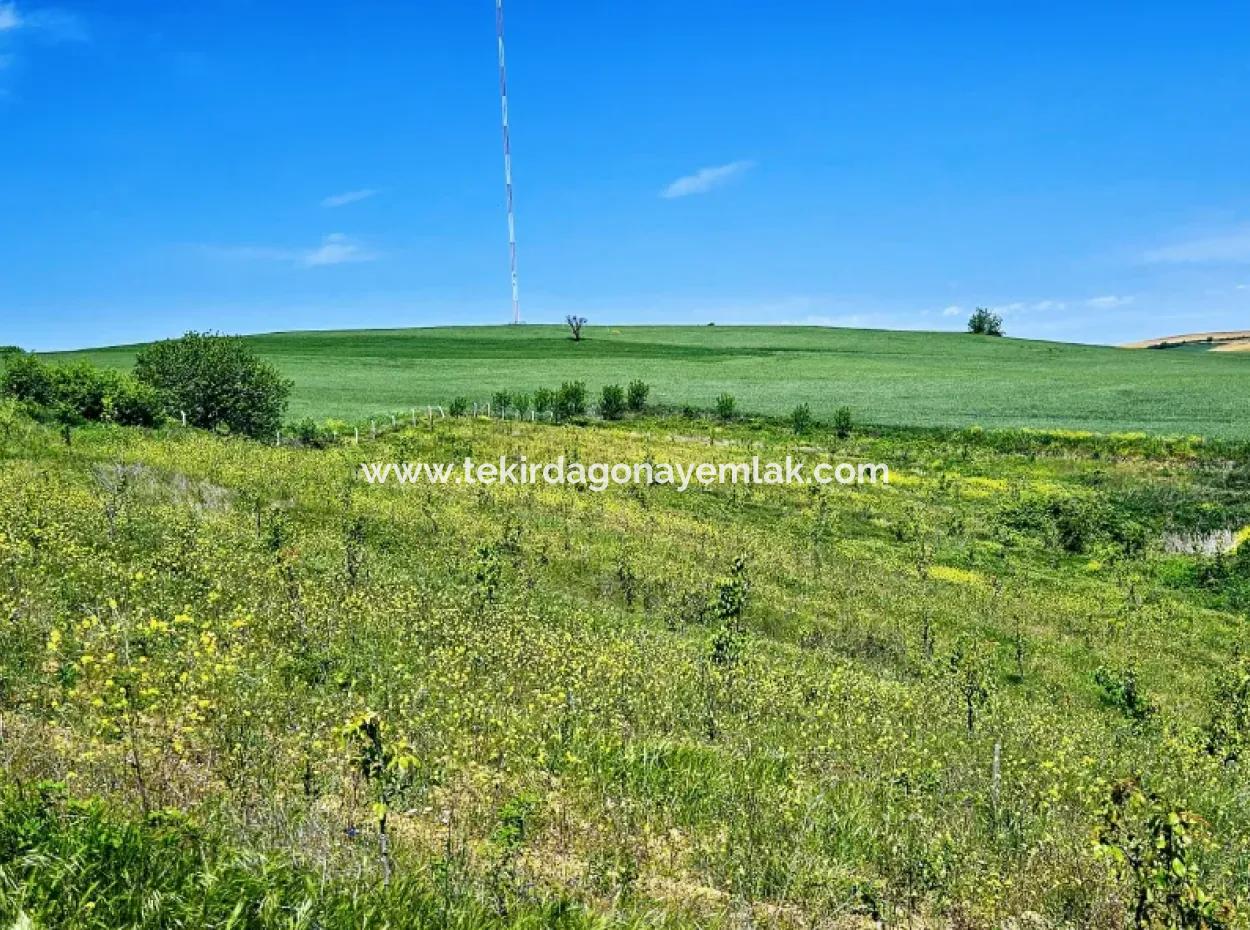A Great Opportunity To Build Your Farm In Your Family For Urgent Sale 2,600 Acres Of Pasture Front