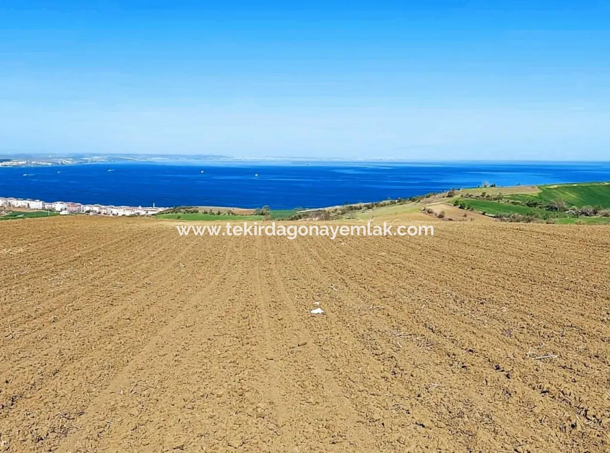 Tekirdag Barbarosta Luxury Villa Project Yap. Give A Flat To The Contractors And Make A High Profit Villa With Full Sea View Zoned Land