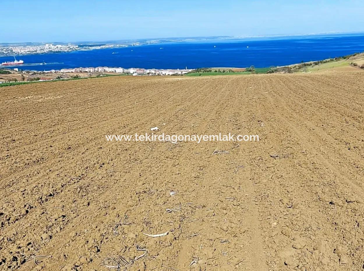 Tekirdag Barbarosta Luxury Villa Project Yap. Give A Flat To The Contractors And Make A High Profit Villa With Full Sea View Zoned Land