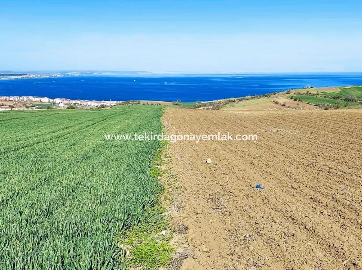 Tekirdag Barbarosta Luxury Villa Project Yap. Give A Flat To The Contractors And Make A High Profit Villa With Full Sea View Zoned Land