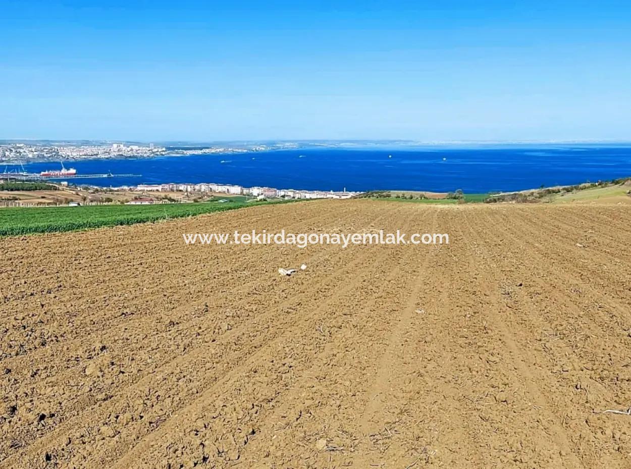 Tekirdag Barbarosta Luxury Villa Project Yap. Give A Flat To The Contractors And Make A High Profit Villa With Full Sea View Zoned Land