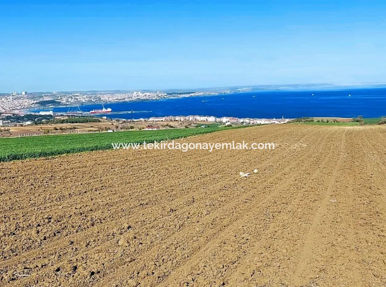 Tekirdag Barbarosta Luxury Villa Project Yap. Give A Flat To The Contractors And Make A High Profit Villa With Full Sea View Zoned Land