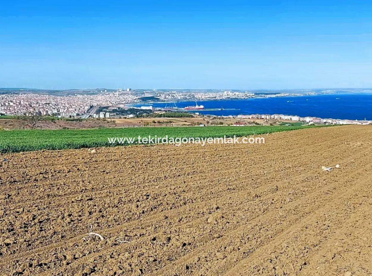 Tekirdag Barbarosta Luxury Villa Project Yap. Give A Flat To The Contractors And Make A High Profit Villa With Full Sea View Zoned Land