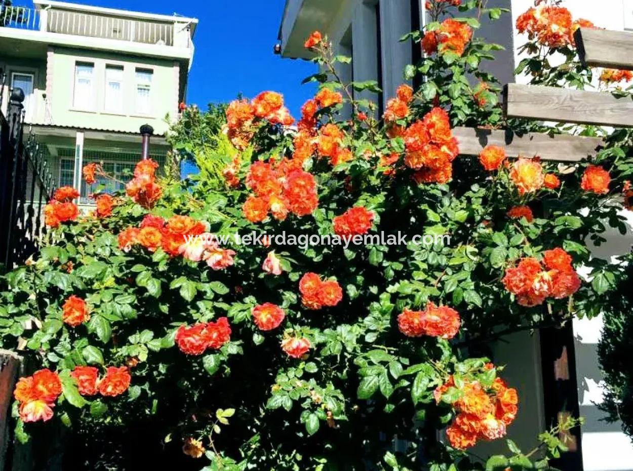 Luxury Ultra Villa With Barter Cash Pool And Indoor Car Park