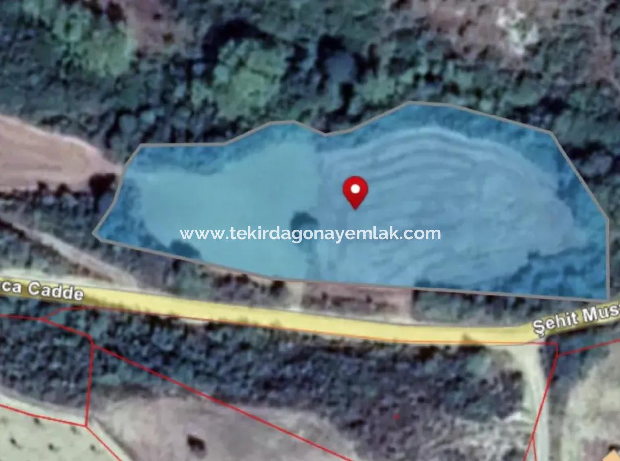 Located In Tekirdağ Süleymanpaşa Yeniköy District, This 5,500 Square Meter Field By The Stream