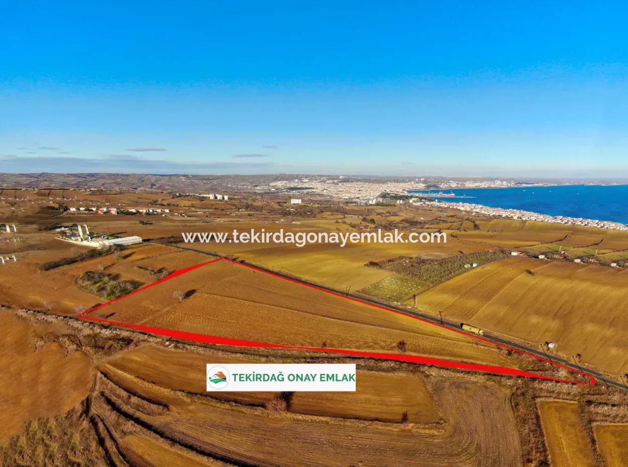 34 000 M2 Rental Field In Tekirdağ Süleymanpaşa Barbaros Neighborhood