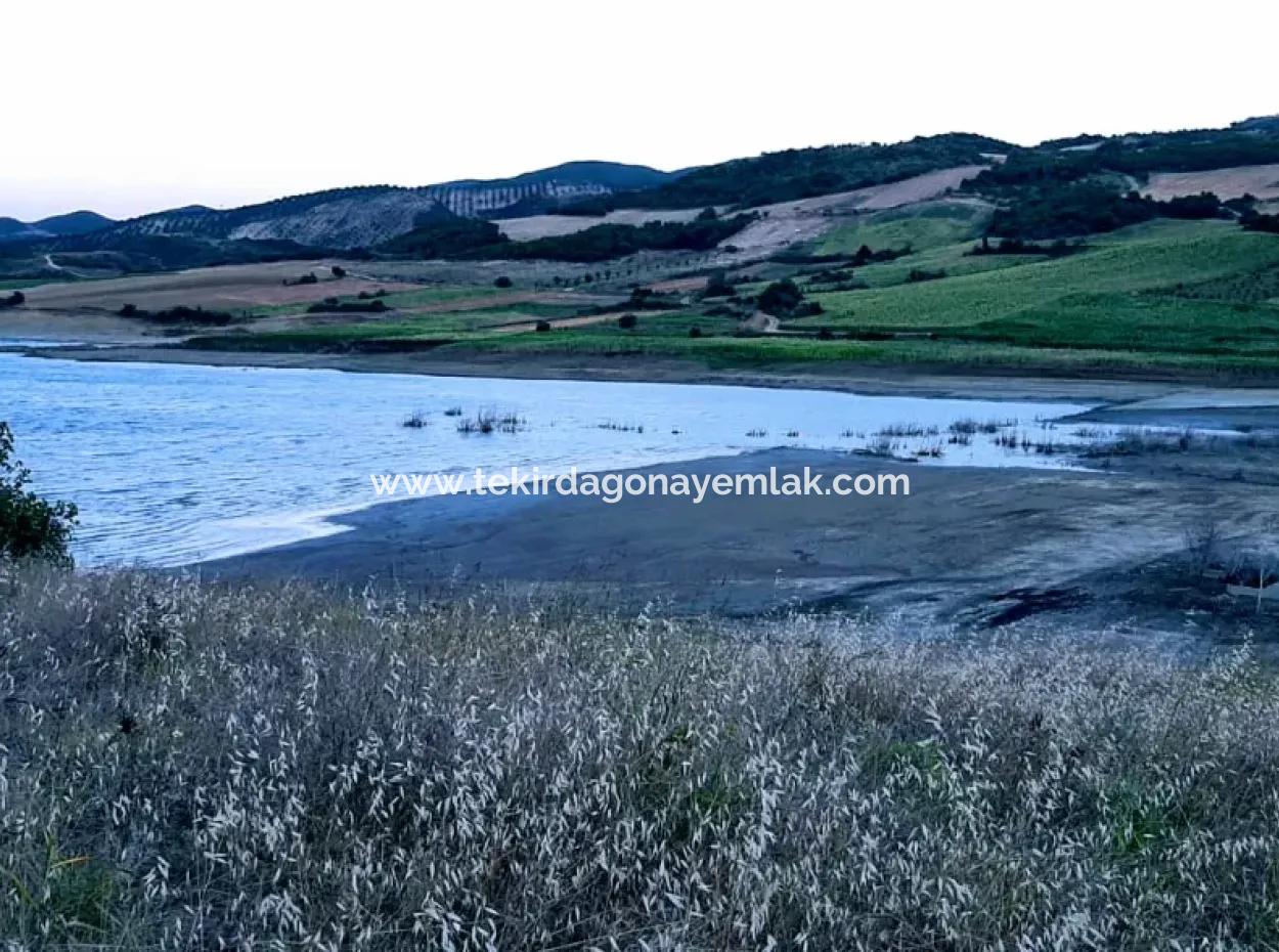 Tekirdağ Yeniköyde For Sale 3.000 M2 Field For Sale With Pond Facing