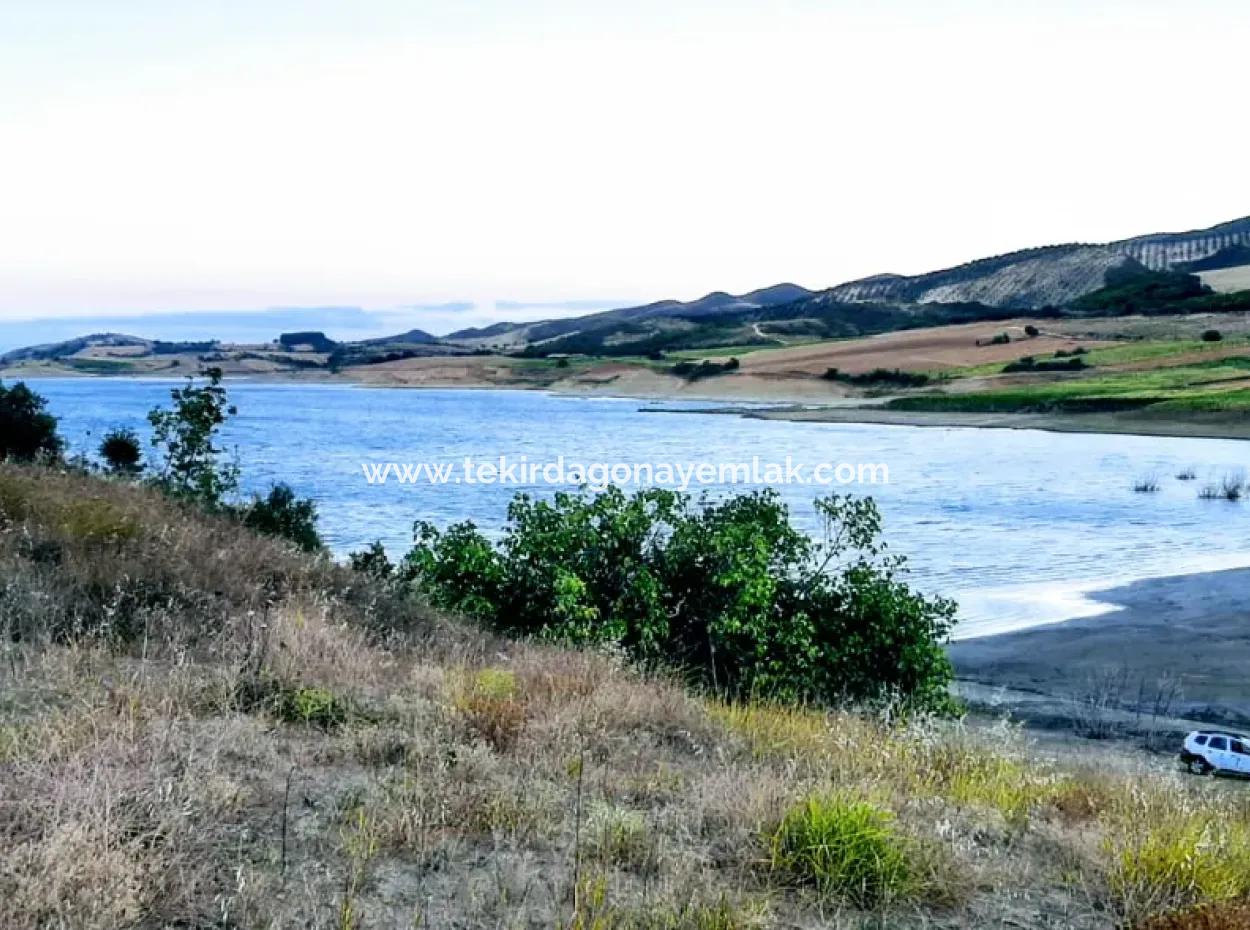 Tekirdağ Yeniköyde For Sale 3.000 M2 Field For Sale With Pond Facing