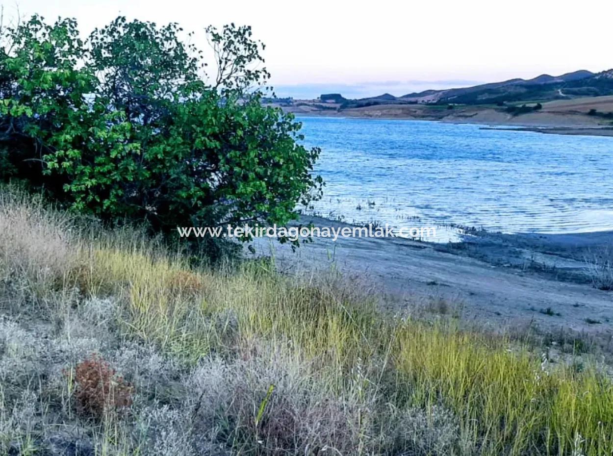 Tekirdağ Yeniköyde For Sale 3.000 M2 Field For Sale With Pond Facing