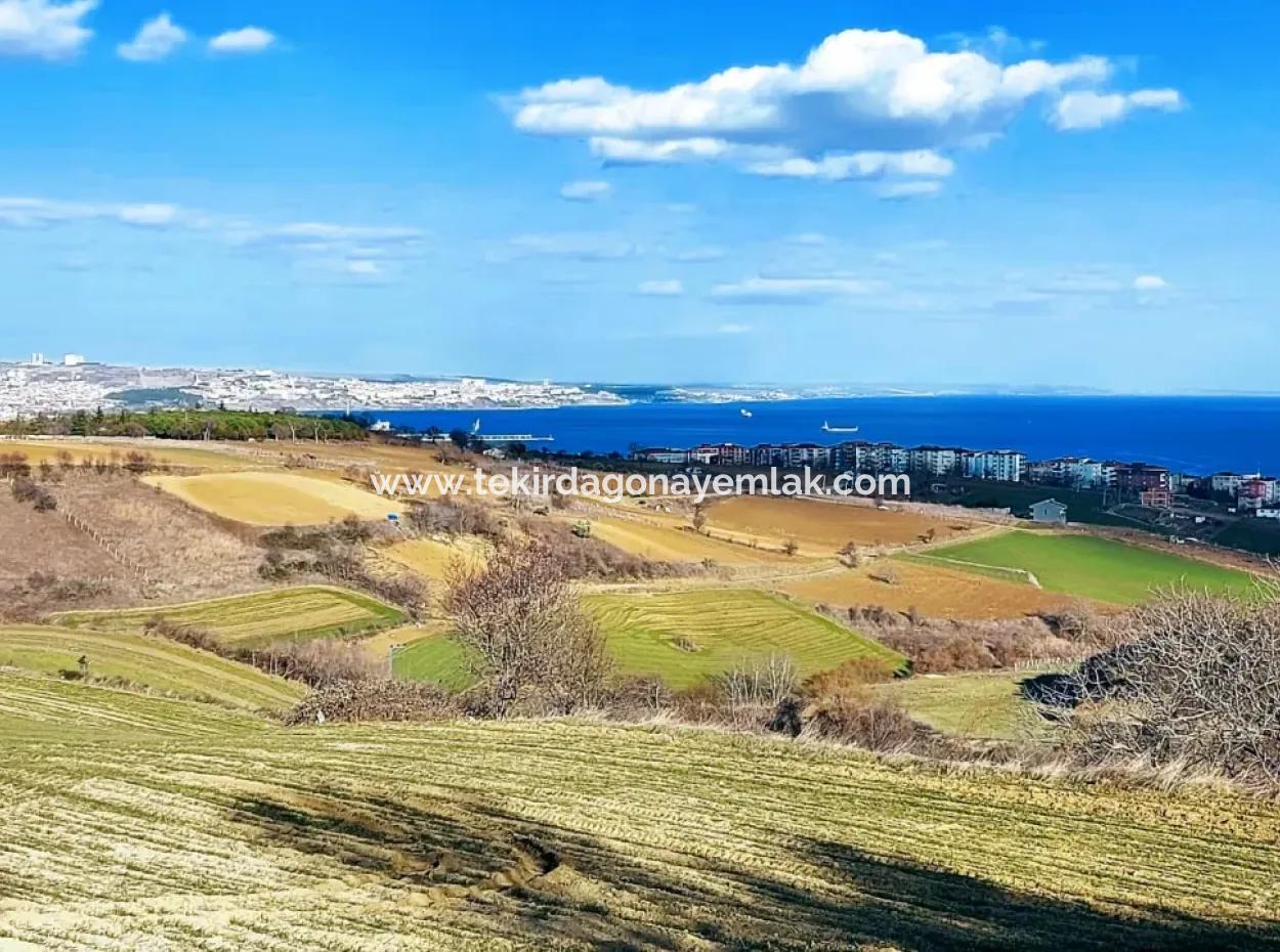 1,150 Sqm Plot Close To Ramada Hotel In Tekirdag Suleymanpasa Barbaros - Topagac