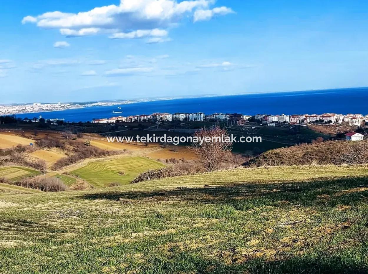 1,150 Sqm Plot Close To Ramada Hotel In Tekirdag Suleymanpasa Barbaros - Topagac
