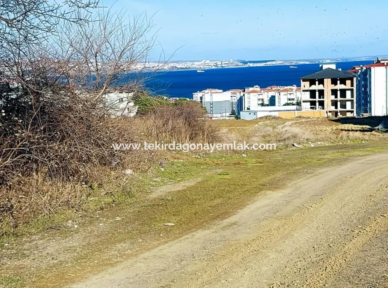 55 Flats Of Opportunity Coupon Land With 9 Floors Zoning In Tekirdag Topağaç Neighborhood
