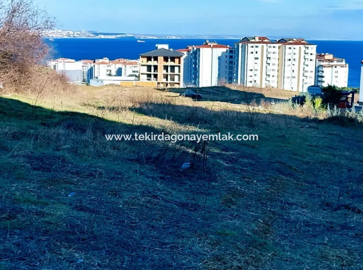 55 Flats Of Opportunity Coupon Land With 9 Floors Zoning In Tekirdag Topağaç Neighborhood
