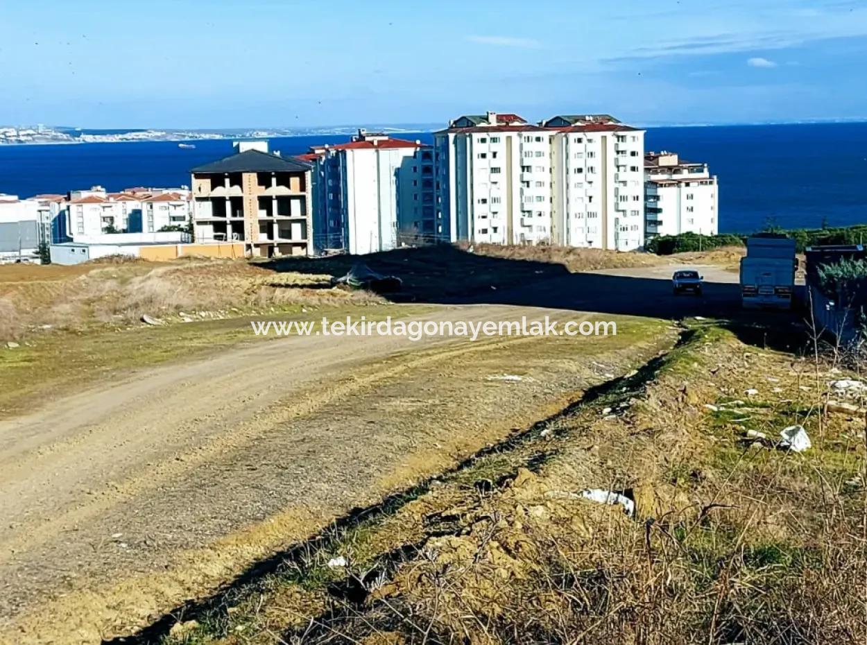 55 Flats Of Opportunity Coupon Land With 9 Floors Zoning In Tekirdag Topağaç Neighborhood