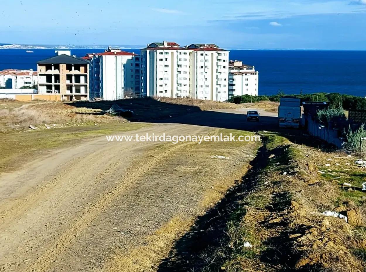 55 Flats Of Opportunity Coupon Land With 9 Floors Zoning In Tekirdag Topağaç Neighborhood