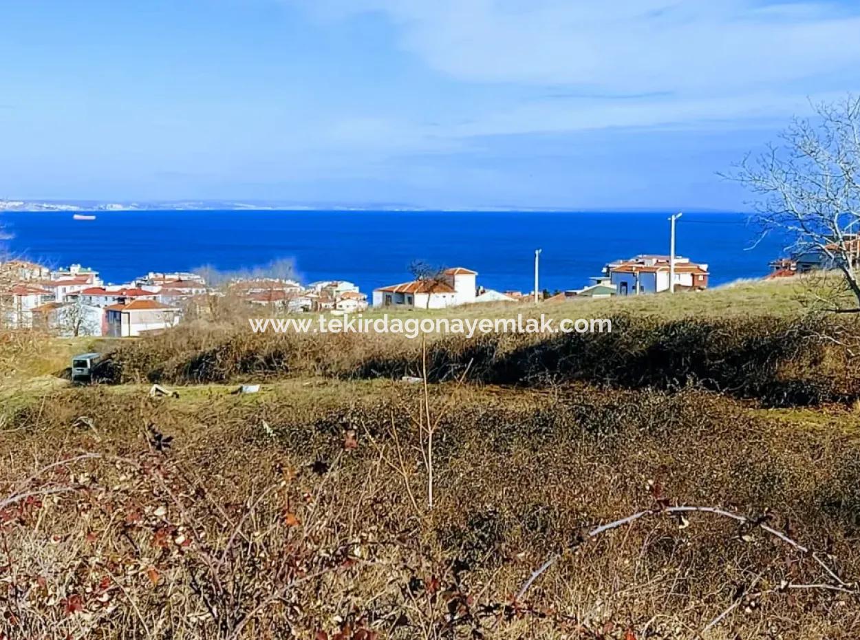 4 Storey Zoned Opportunity Land Of 30 Flats In Tekirdag Topağaç Neighborhood