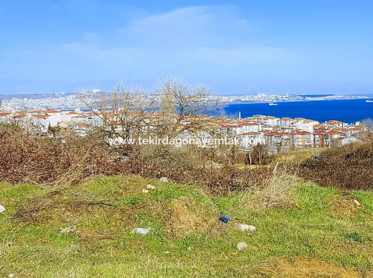 4 Storey Zoned Opportunity Land Of 30 Flats In Tekirdag Topağaç Neighborhood