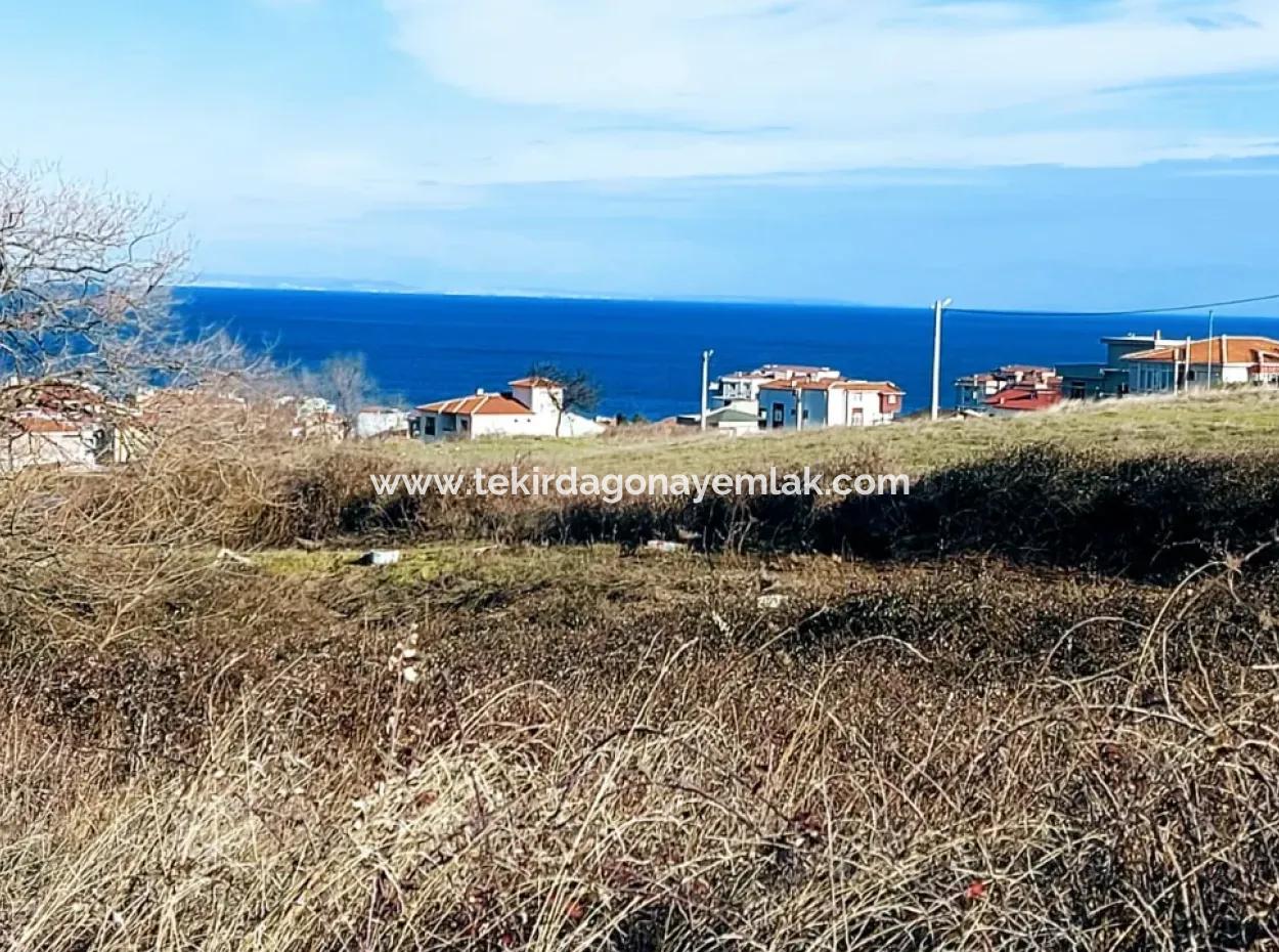 4 Storey Zoned Opportunity Land Of 30 Flats In Tekirdag Topağaç Neighborhood