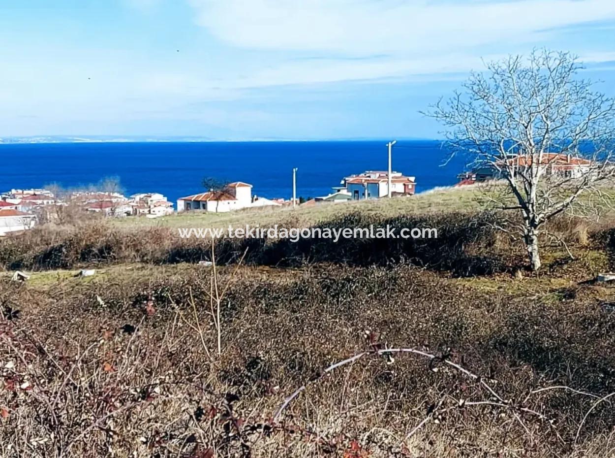 4 Storey Zoned Opportunity Land Of 30 Flats In Tekirdag Topağaç Neighborhood