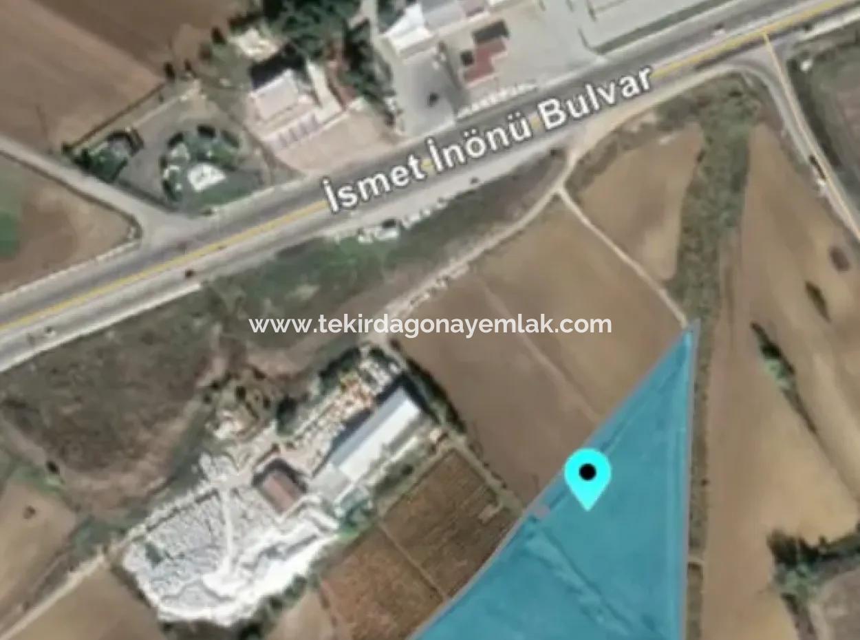 Land For Sale In 19,500 Square Meters Of Commercial And Industrial Area In Nusuratlı Area Of Tekirdağ
