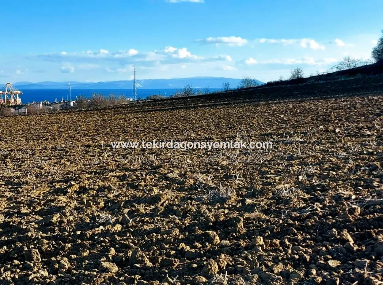 Unique 17.800 M2 Residential Zoned Land Located In Süleymanpaşa Barbaros Area Of Tekirdağ