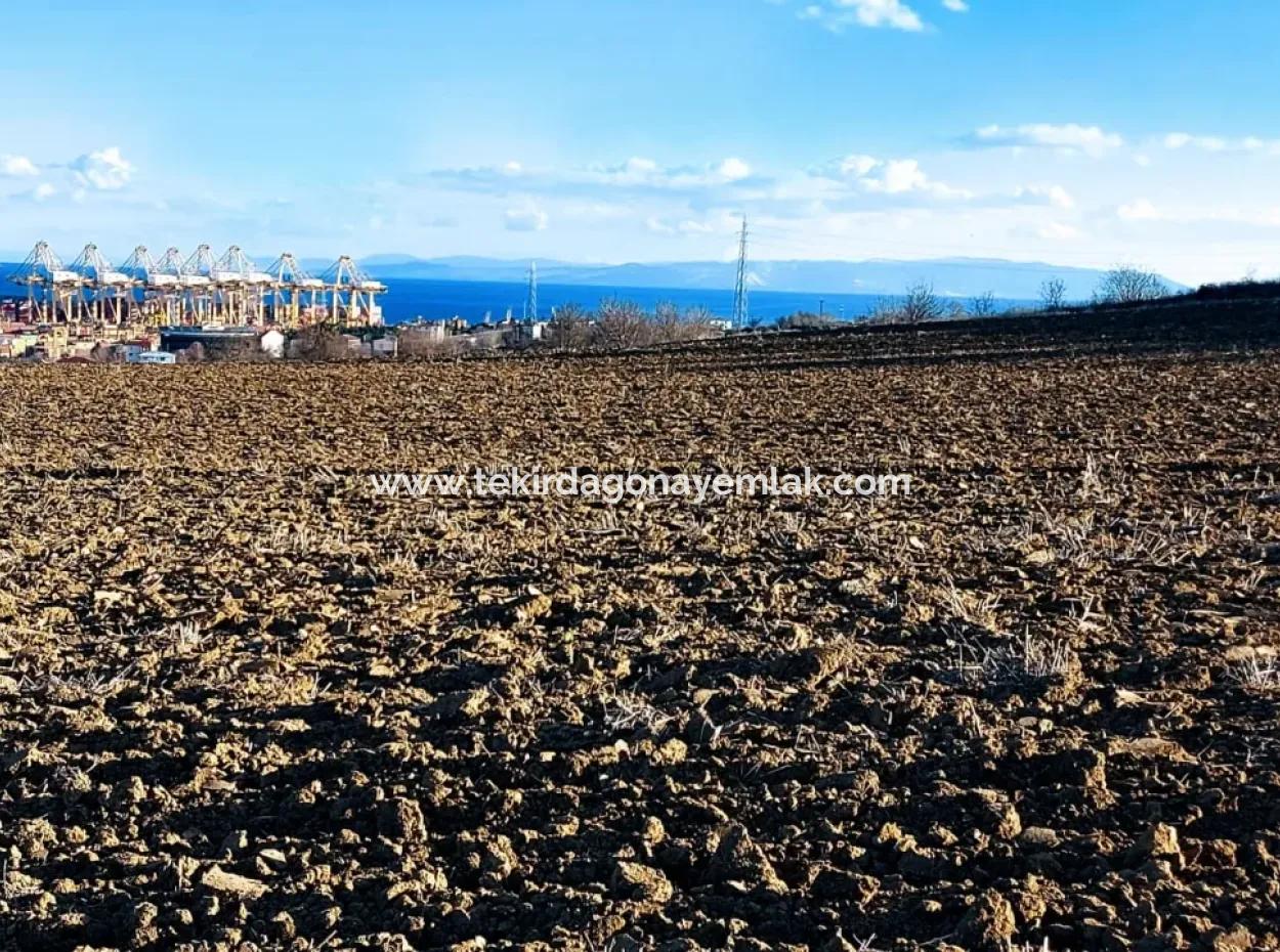 Unique 17.800 M2 Residential Zoned Land Located In Süleymanpaşa Barbaros Area Of Tekirdağ