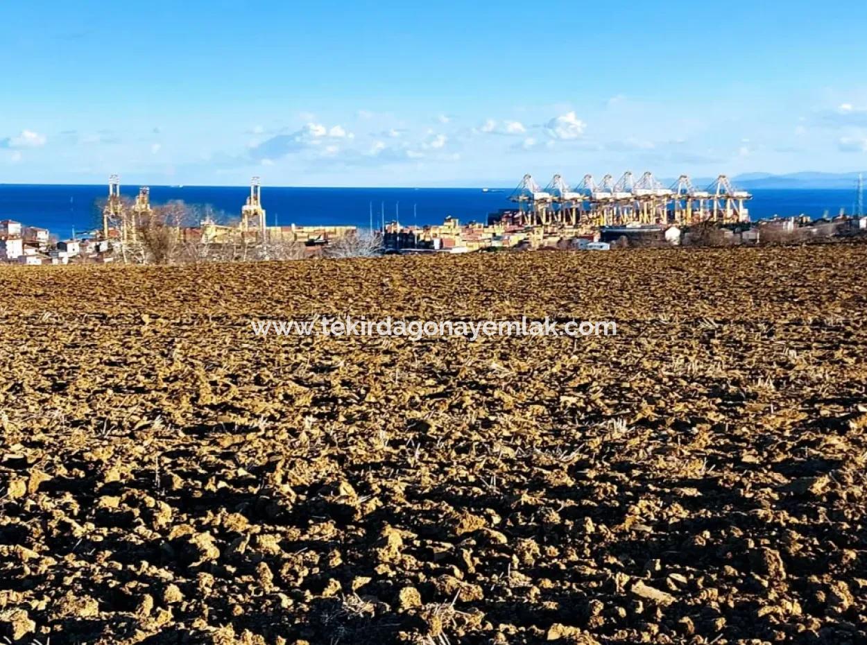 Unique 17.800 M2 Residential Zoned Land Located In Süleymanpaşa Barbaros Area Of Tekirdağ