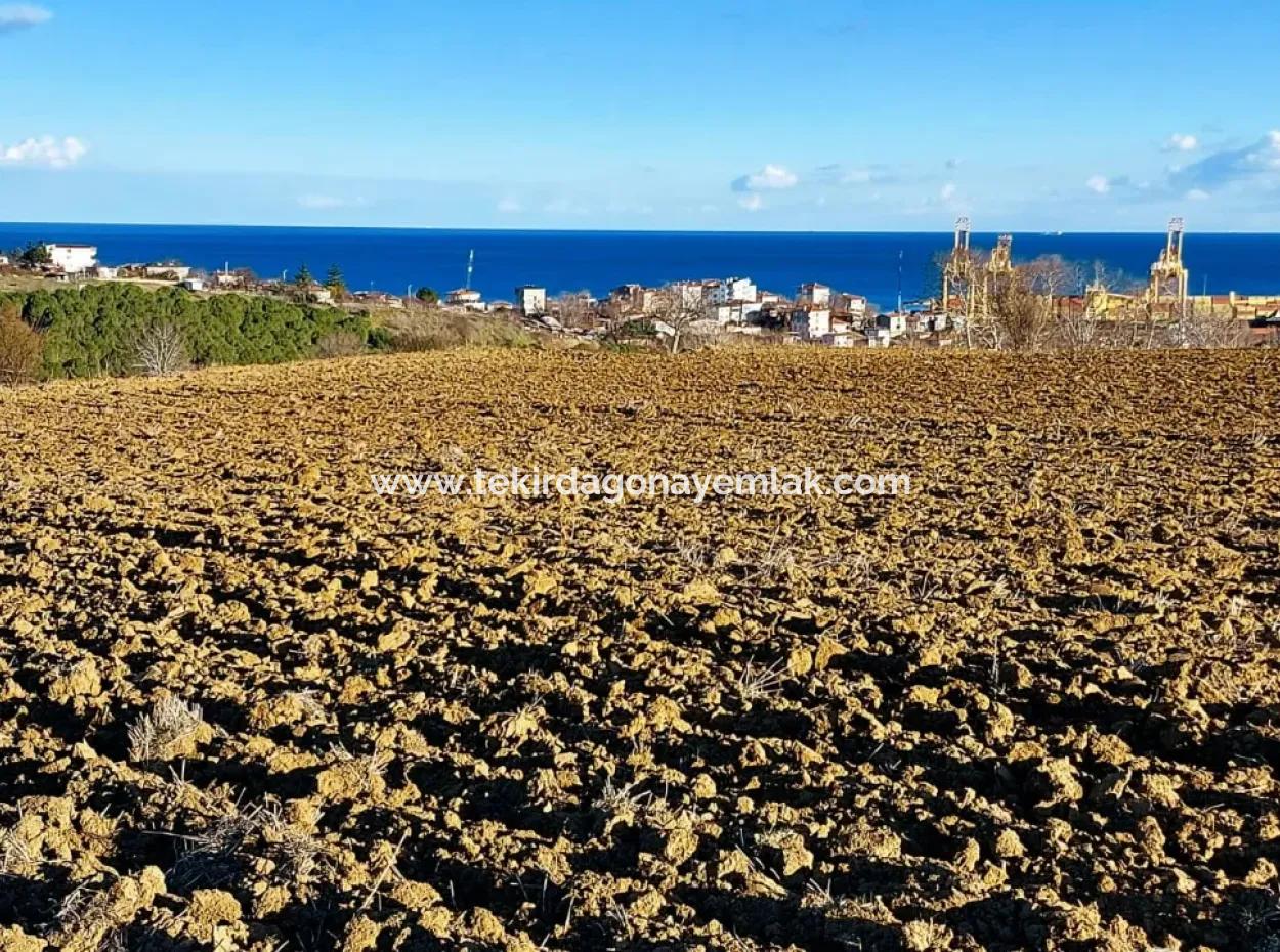 Unique 17.800 M2 Residential Zoned Land Located In Süleymanpaşa Barbaros Area Of Tekirdağ