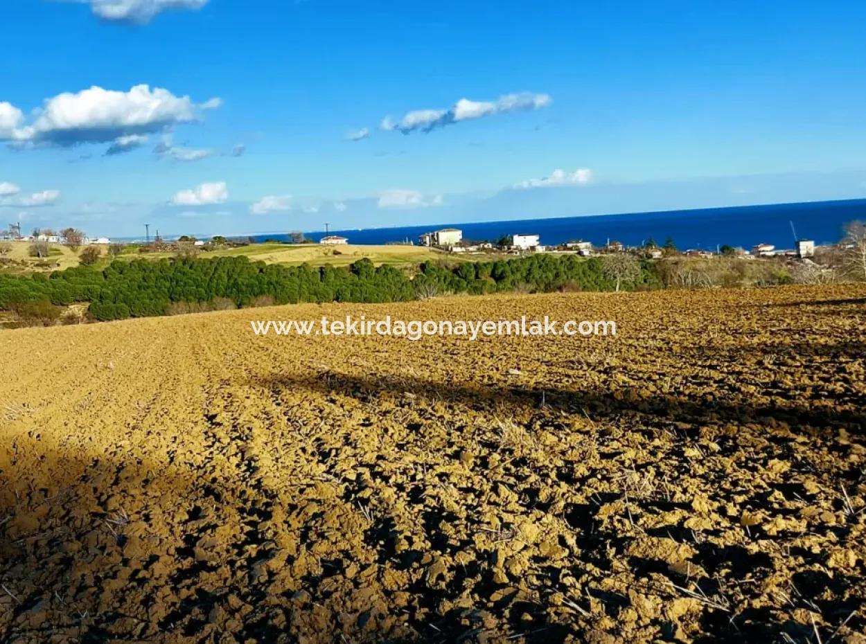 Unique 17.800 M2 Residential Zoned Land Located In Süleymanpaşa Barbaros Area Of Tekirdağ