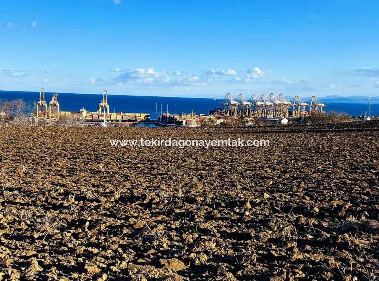 Unique 17.800 M2 Residential Zoned Land Located In Süleymanpaşa Barbaros Area Of Tekirdağ