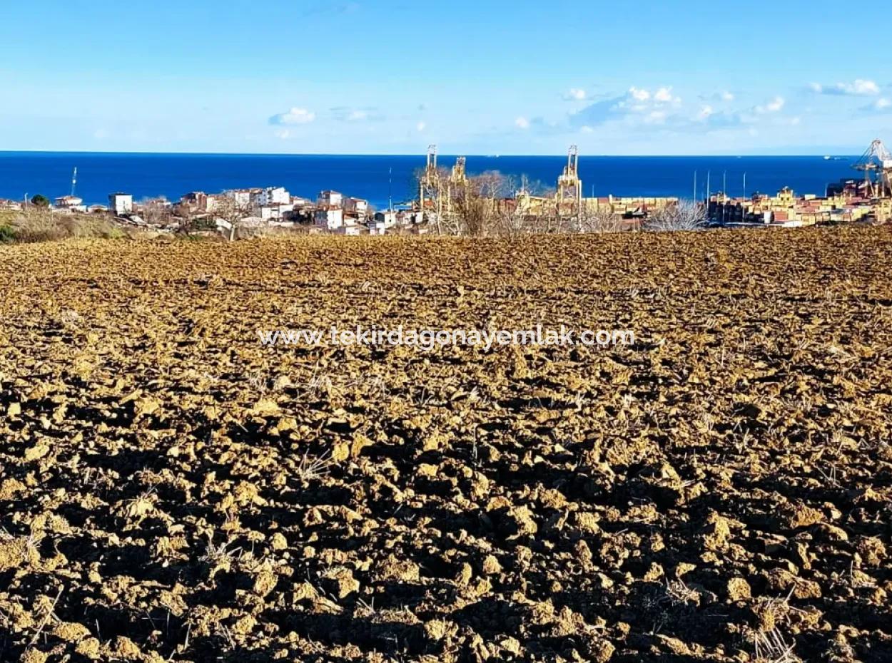 Unique 17.800 M2 Residential Zoned Land Located In Süleymanpaşa Barbaros Area Of Tekirdağ