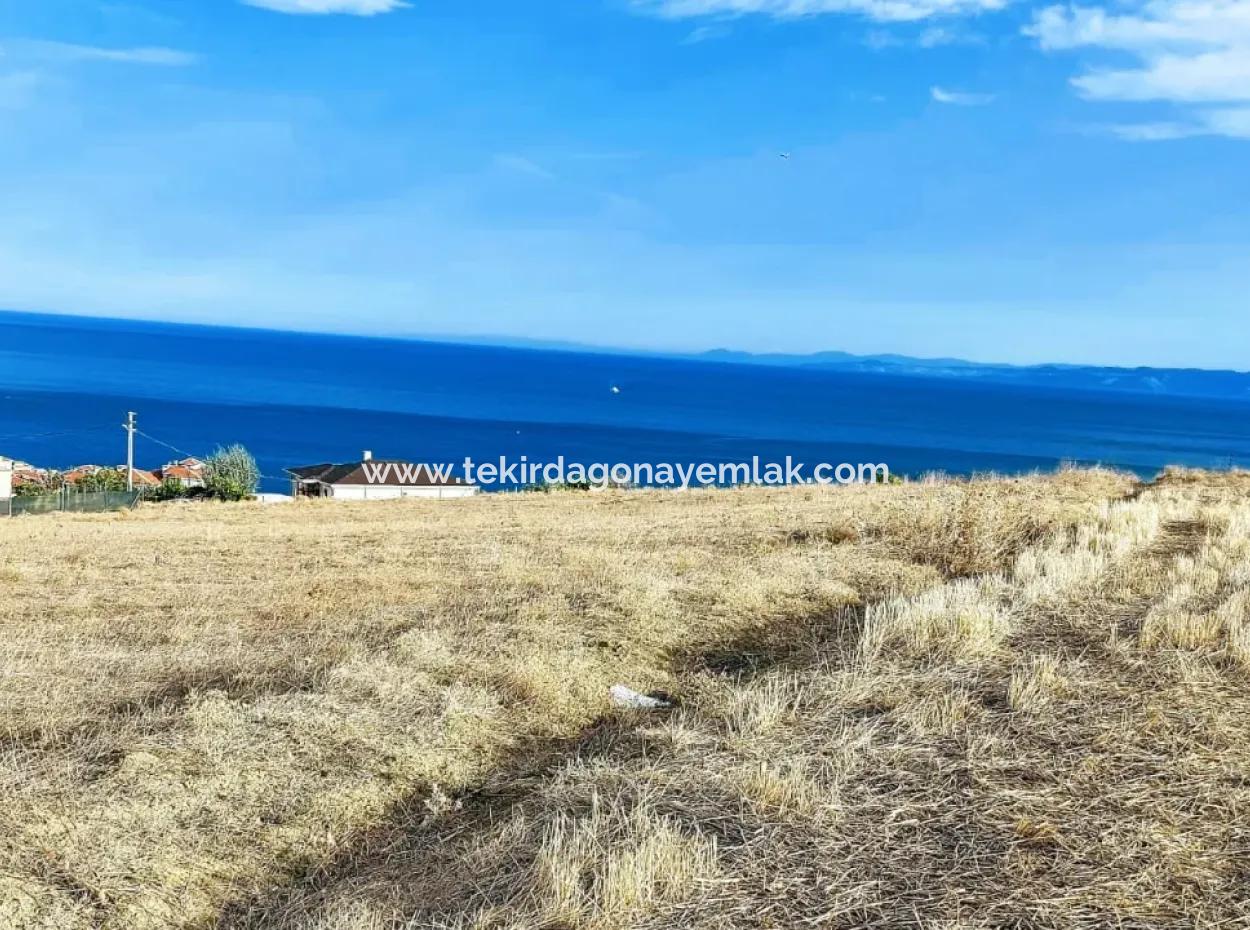 568 M2 Plot Of Land With Full Sea View For Urgent Sale In Tekirdag Barbarosta