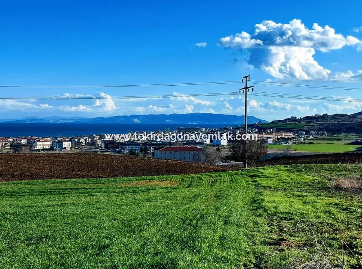 Located In Süleymanpaşa Barbaros, Tekirdag, This 11.100 M2 Residential Land Is Located In A Great Location.