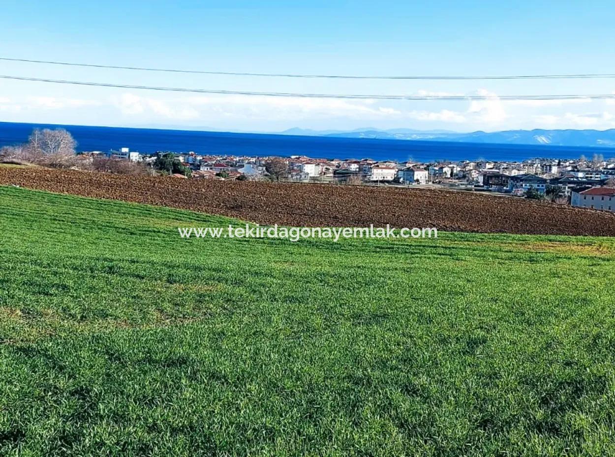 Located In Süleymanpaşa Barbaros, Tekirdag, This 11.100 M2 Residential Land Is Located In A Great Location.