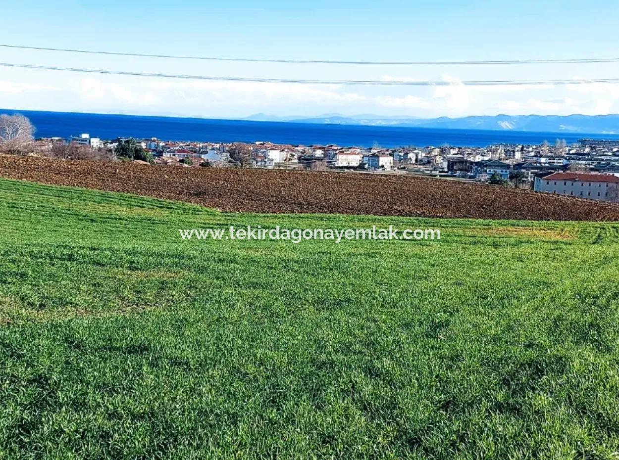 Located In Süleymanpaşa Barbaros, Tekirdag, This 11.100 M2 Residential Land Is Located In A Great Location.