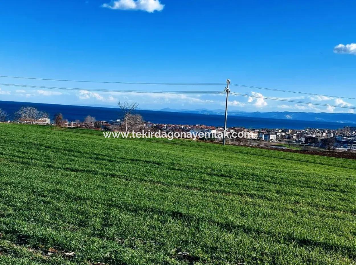 Located In Süleymanpaşa Barbaros, Tekirdag, This 11.100 M2 Residential Land Is Located In A Great Location.