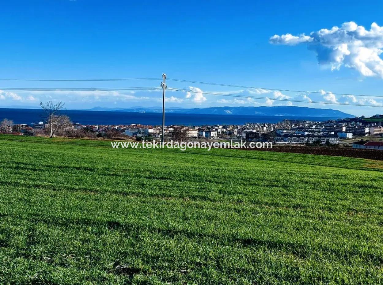 Located In Süleymanpaşa Barbaros, Tekirdag, This 11.100 M2 Residential Land Is Located In A Great Location.