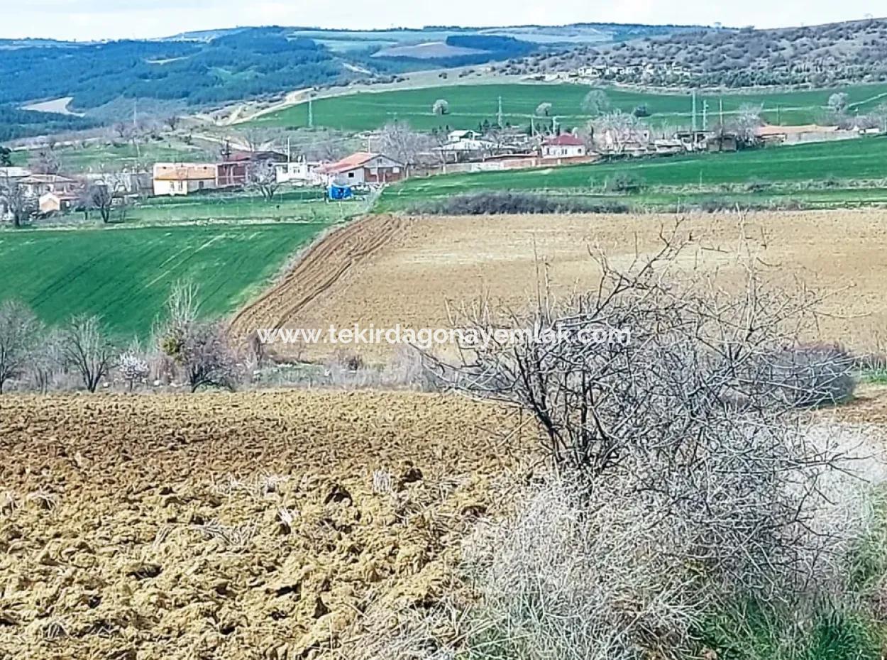 16.200 Square Meters Of Land For Sale In Süleymanpaşa Yazır Neighborhood Of Tekirdağ