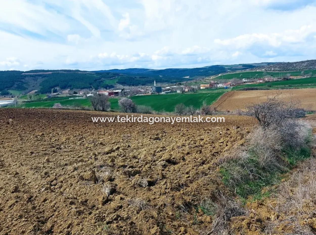 16.200 Square Meters Of Land For Sale In Süleymanpaşa Yazır Neighborhood Of Tekirdağ