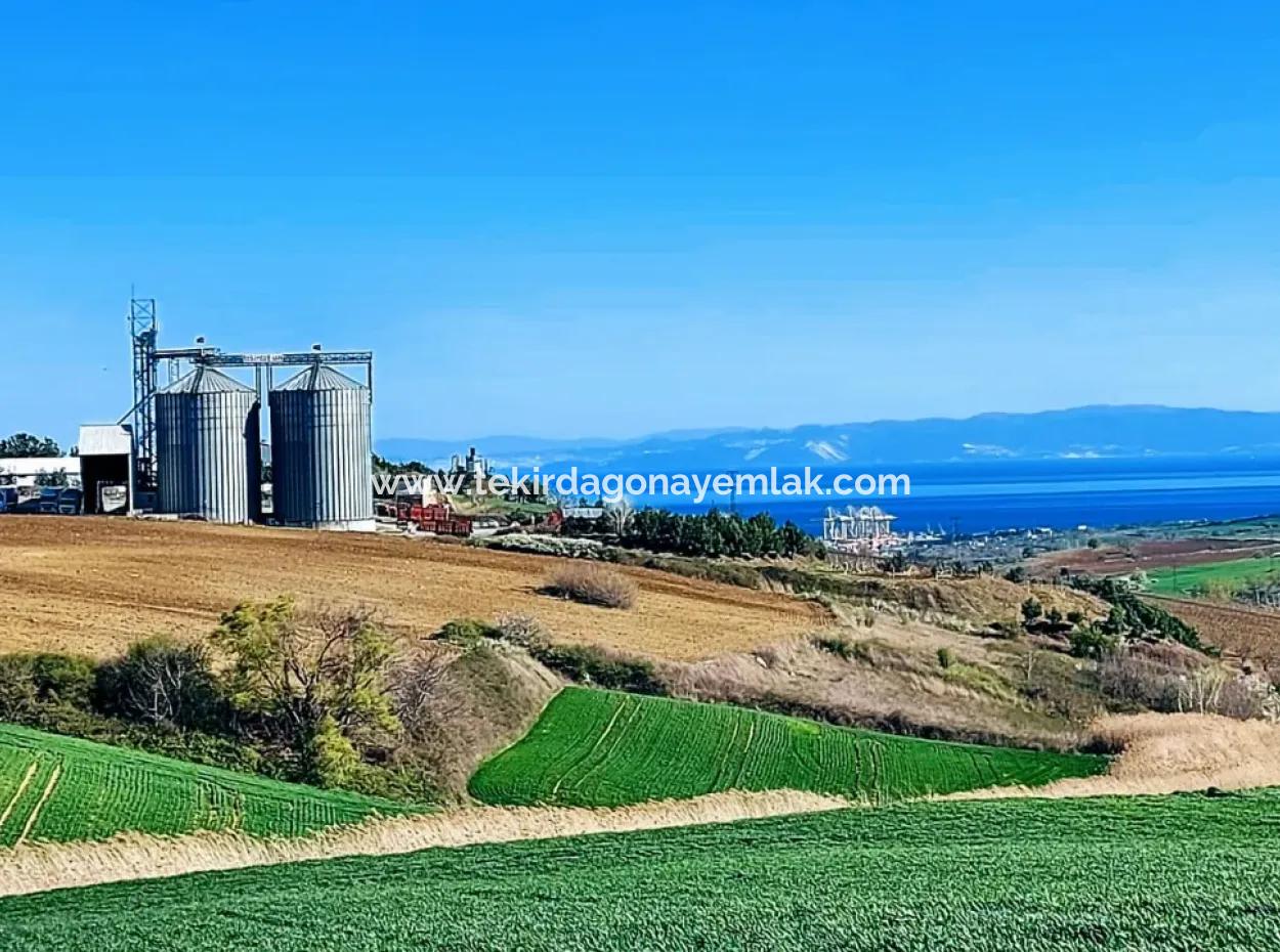 Land For Sale In 19,500 Square Meters Of Commercial And Industrial Area In Nusuratlı Area Of Tekirdağ