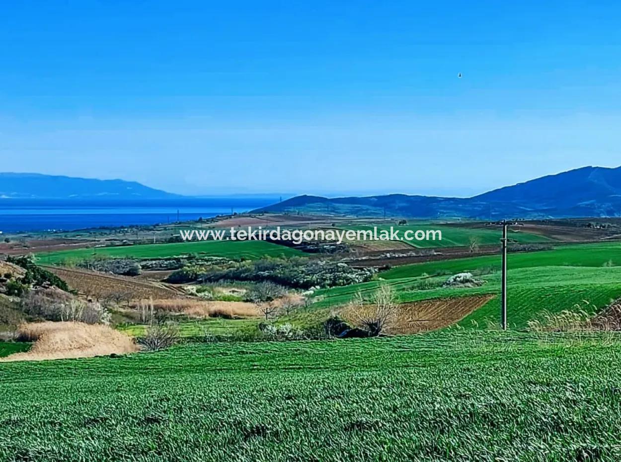 Land For Sale In 19,500 Square Meters Of Commercial And Industrial Area In Nusuratlı Area Of Tekirdağ