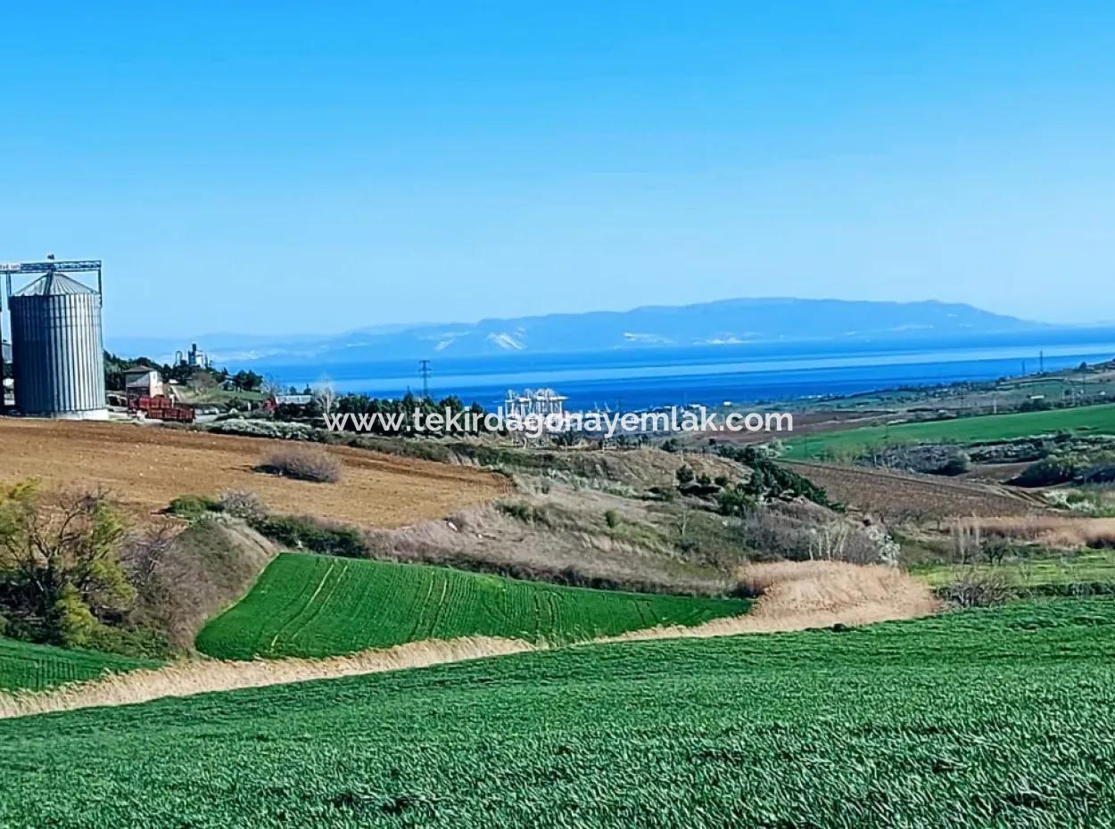 Land For Sale In 19,500 Square Meters Of Commercial And Industrial Area In Nusuratlı Area Of Tekirdağ